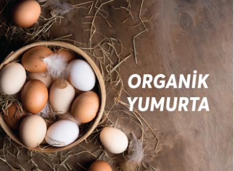 ORGANİK YUMURTA