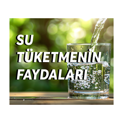 Su Tüketiminin Önemi