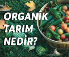 ORGANİK TARIM NEDİR 